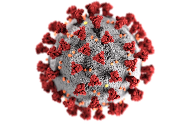 Coronavirus - CDC
